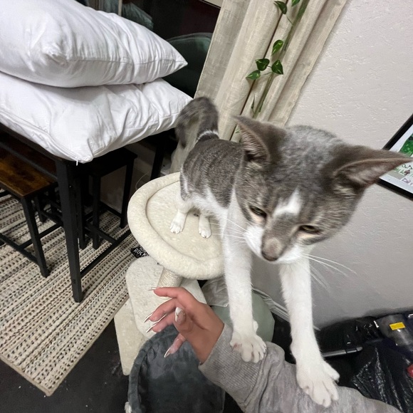 Bundle up!! - Picture 3 of 3